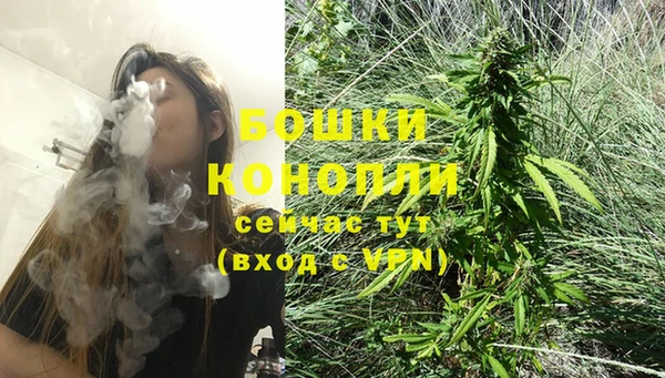 дживик Вязники