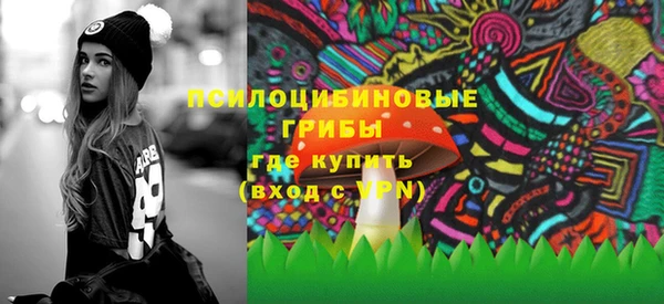 дживик Вязники