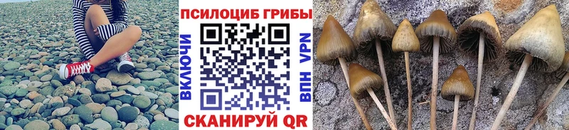 Галлюциногенные грибы мицелий  Невинномысск 
